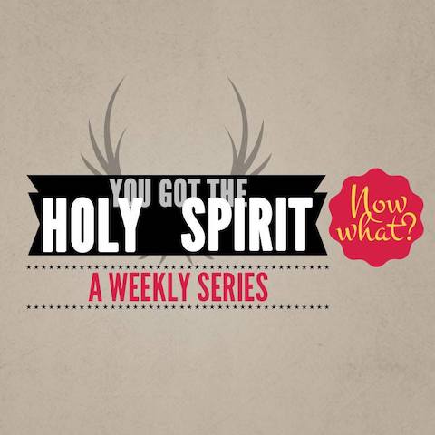 You Got the Holy Spirit